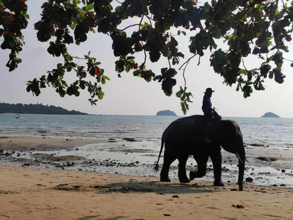 Sanook Sanang Resort Koh Chang Ngoại thất bức ảnh